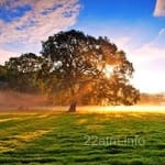 Avatar of Shabbir Abbasi